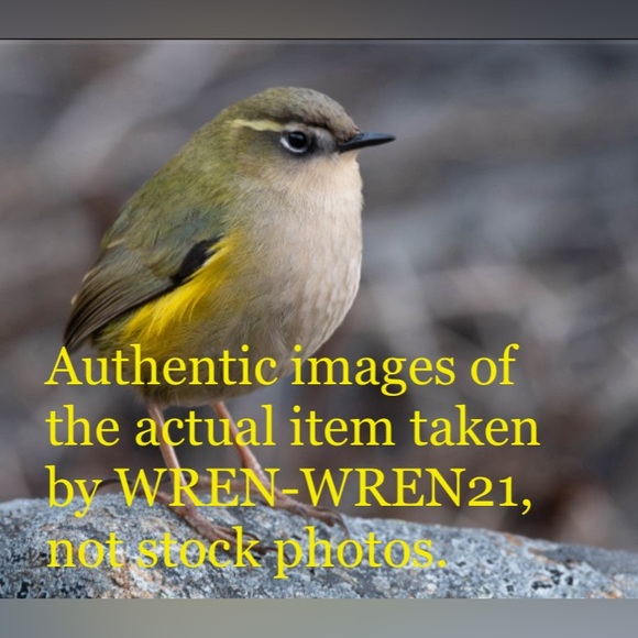 Abercrombie & Fitch - Button down shirt | Powder Blue - Picture 5 of 5